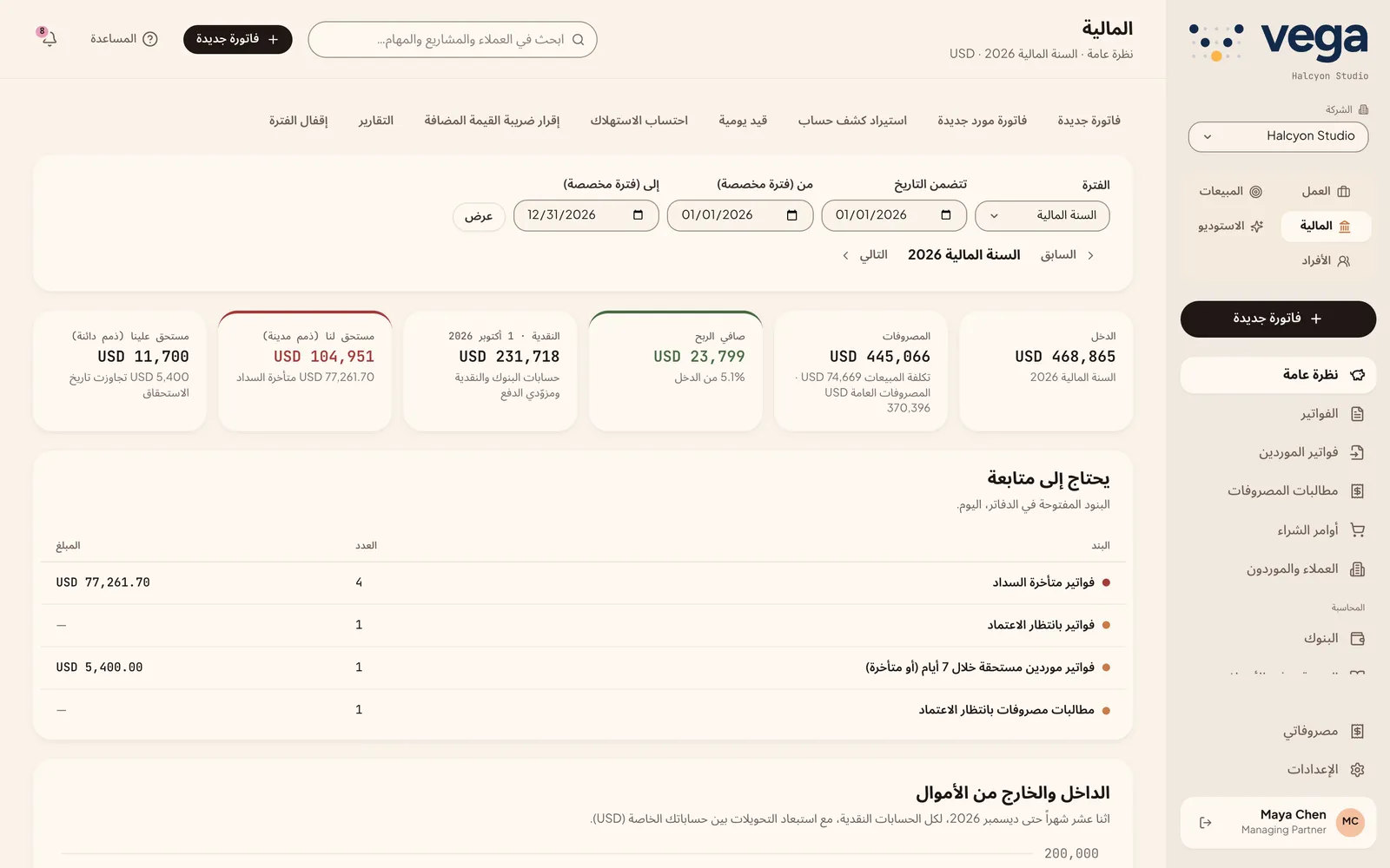 النظرة العامة للمالية مع الدخل والربح والنقد والذمم